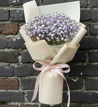 Букет цветов из:  Гипсофила #REPLACE_PRED# Вожеге