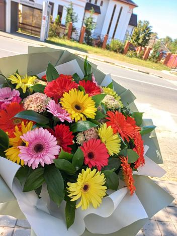 Букет цветов из: Герберы в Вожеге